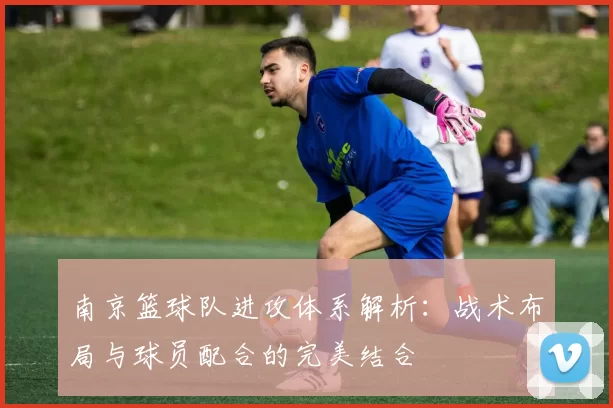 南京篮球队进攻体系解析：战术布局与球员配合的完美结合