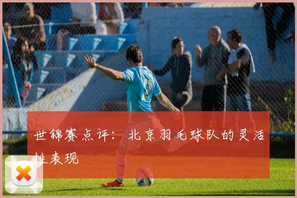 世锦赛点评：北京羽毛球队的灵活性表现