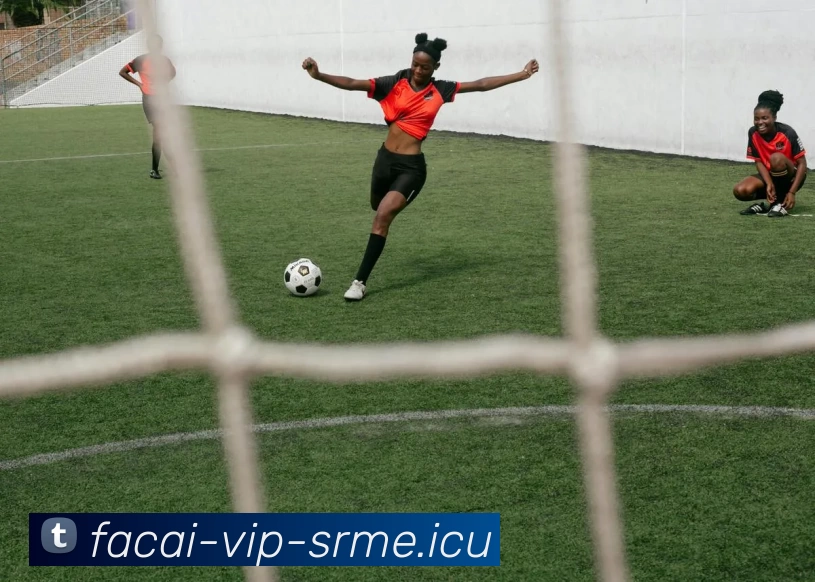 多媒体互动体验